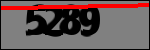 متن برای شناسایی